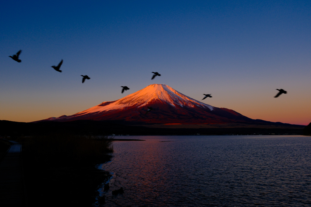 山中湖にて