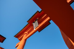 下から見上げた厳島神社