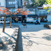 宮島で出会った鹿