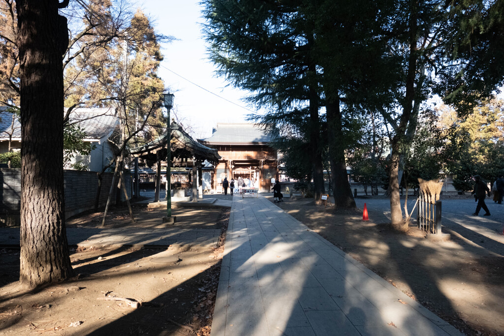 初めての写真活動