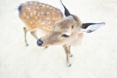こんな近くまで