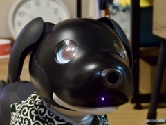 aiboドアップ