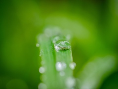 雨天のカメラ遊び