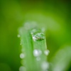 雨天のカメラ遊び