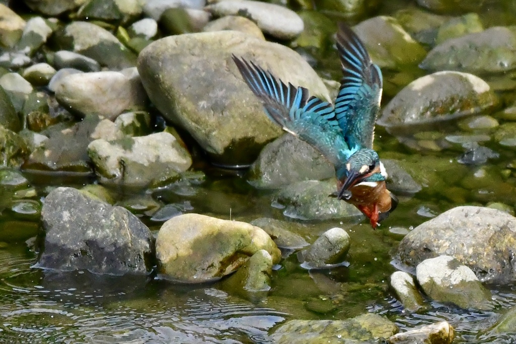 練習あるのみ。
