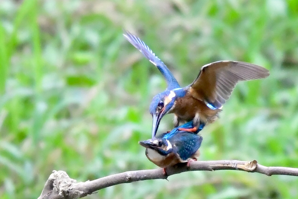 仲良しでした。