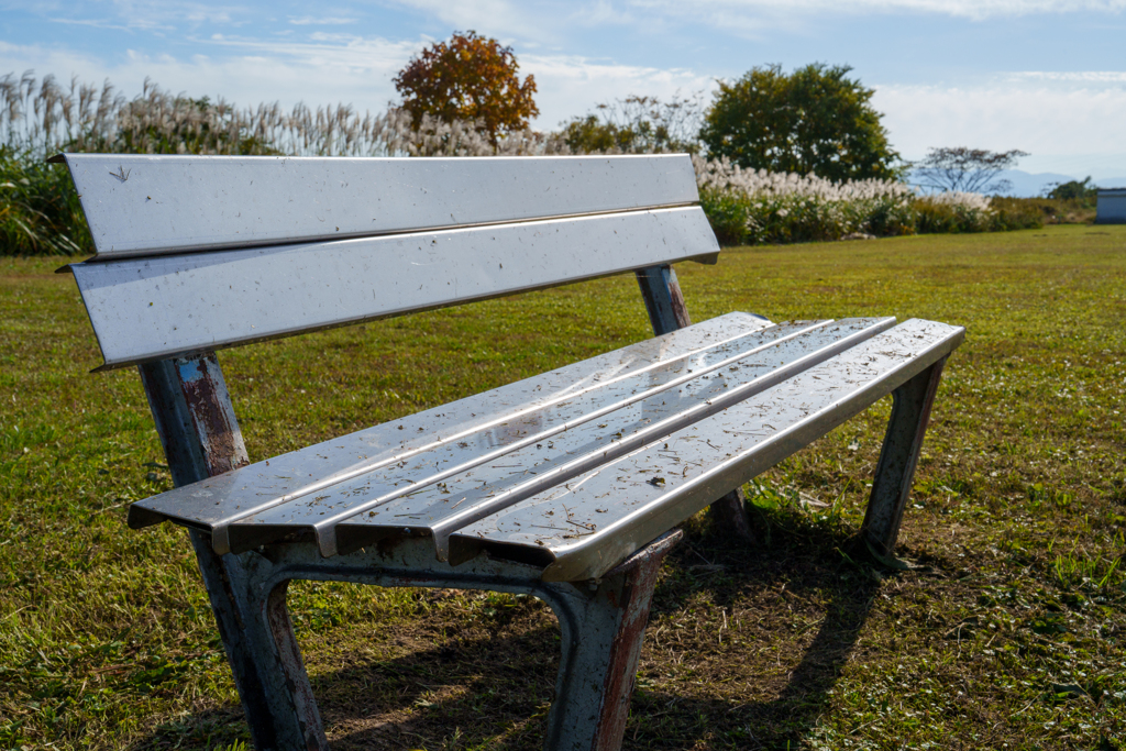 河川敷のベンチ