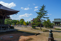 瑞泉寺（井波）