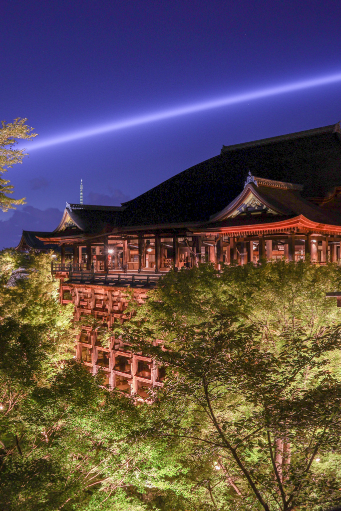 清水寺 貸切夜間参拝