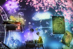 桜舞う実験室