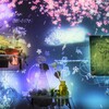 桜舞う実験室