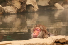 いい湯だな～