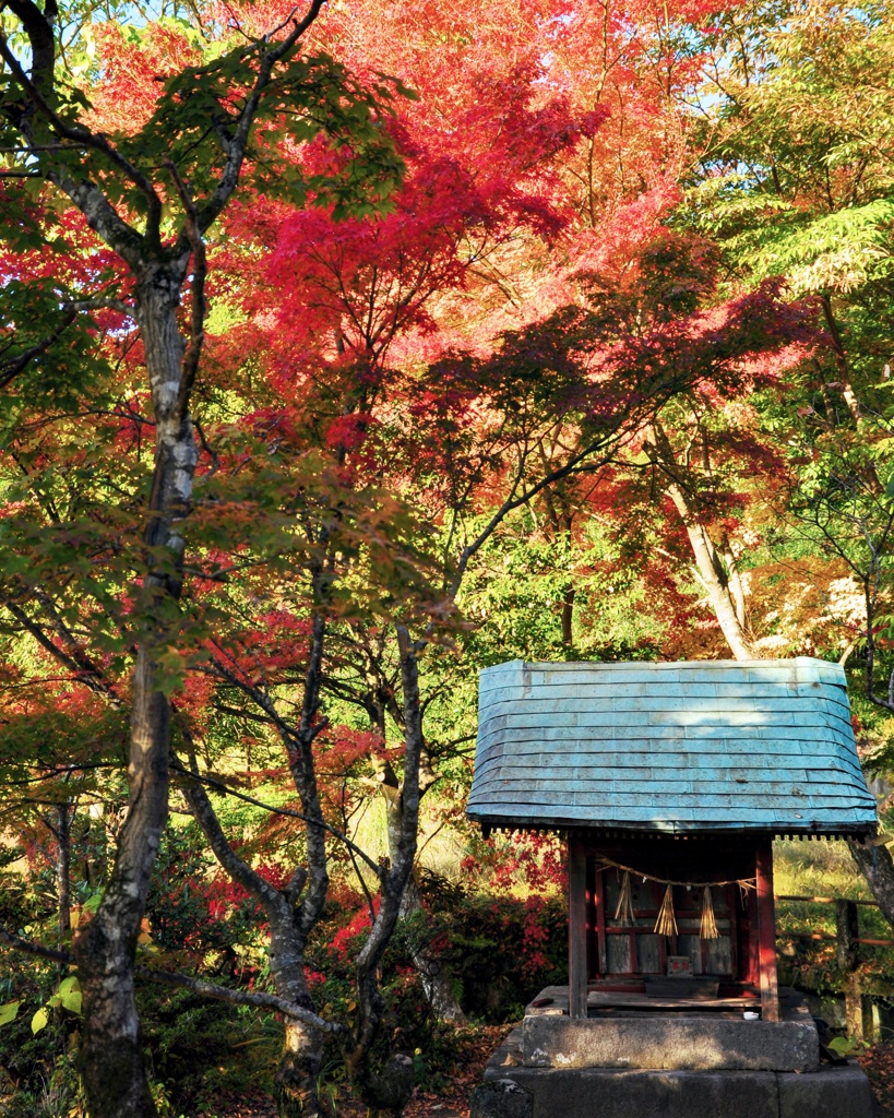 紅葉と社