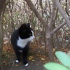 探検中
