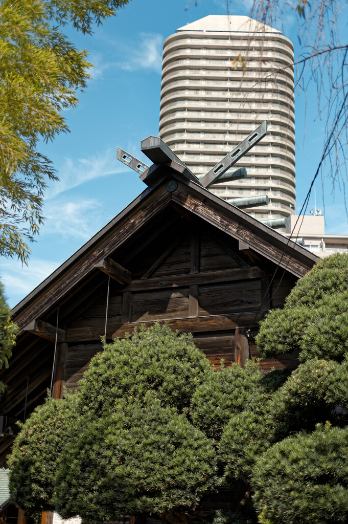 共存と違和感