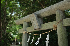 近所の神社の鳥居