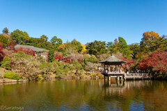 成田山公園　浮御堂