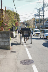 優雅な散策