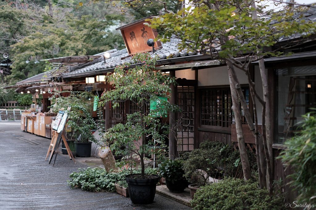 蕎麦屋