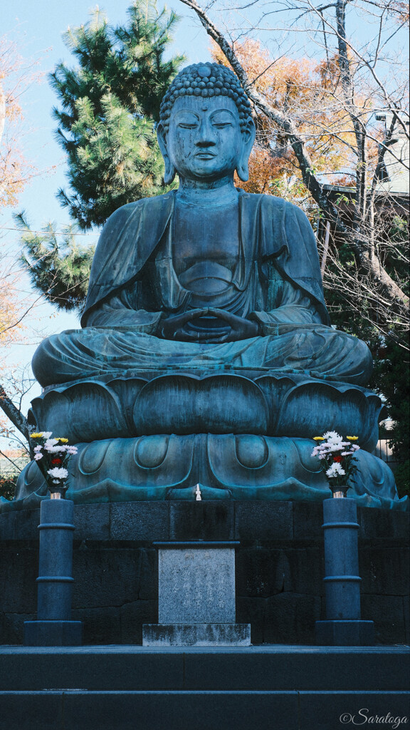 銅造釈迦如来坐像