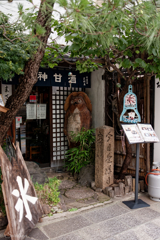 佇むタヌキ
