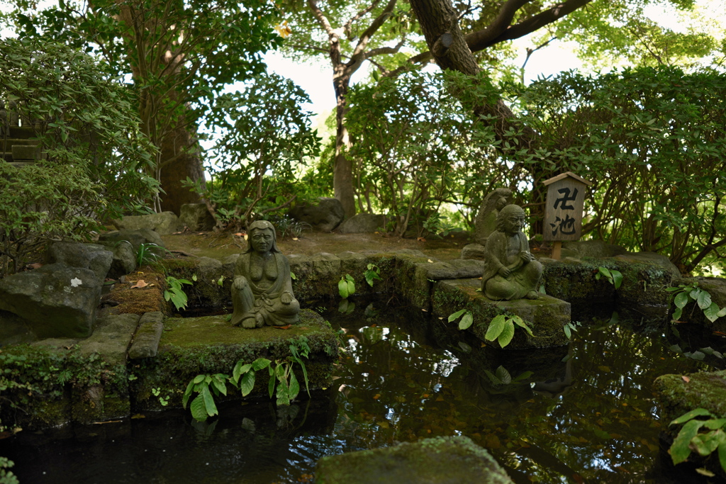 木陰の卍池
