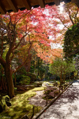 陽と紅と緑
