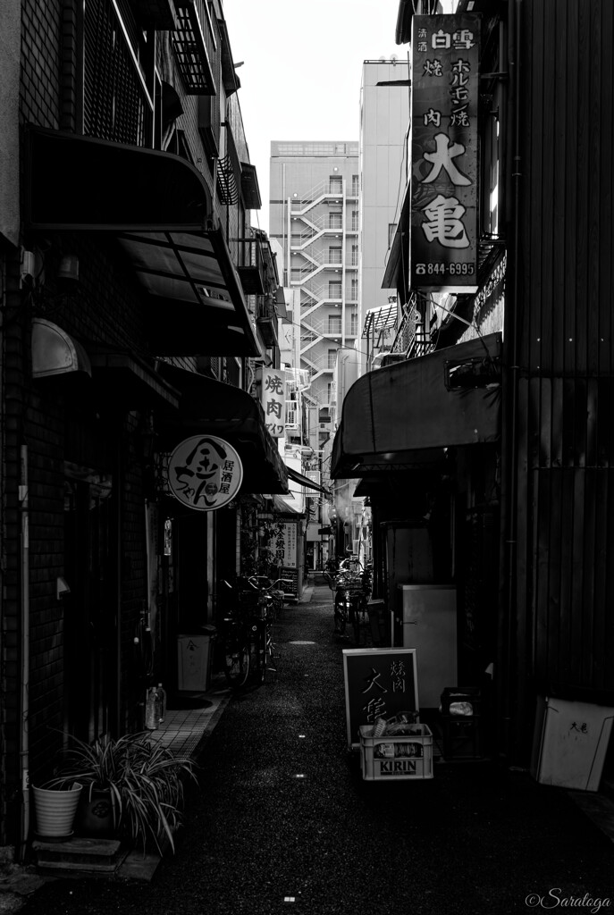 楽園