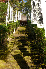 苔の階段