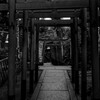 入口