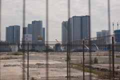 これからの築地