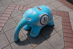 傷だらけのゾウ