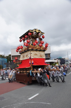 DSC00204