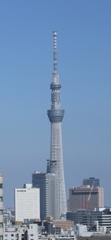 IMG_4619