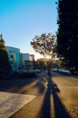 IMG_8292