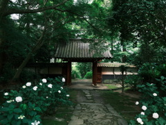 本光寺