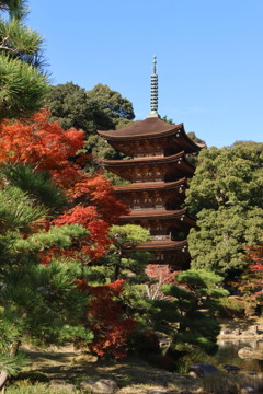 紅葉と五重の塔