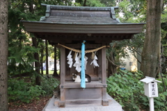 視線　(長浜、長浜八幡宮にて)