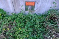 緊急用？