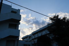 学校