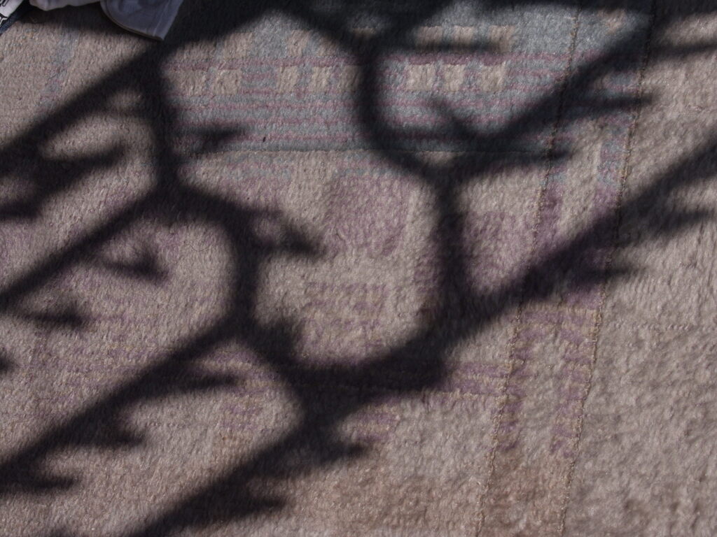 いい天気
