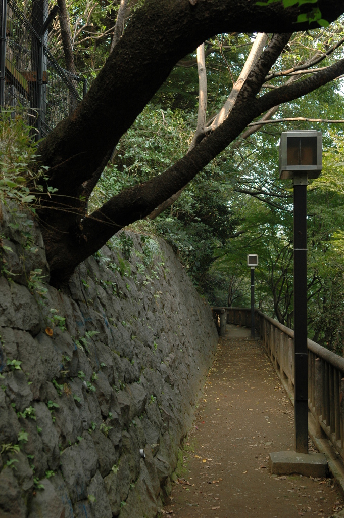 日が短くなる