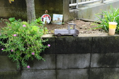 ひっそり