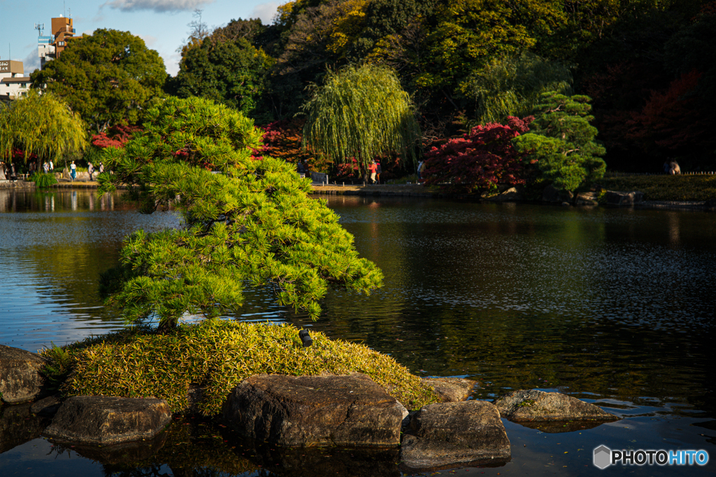 徳川園