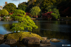徳川園