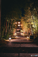 夜のホテル前