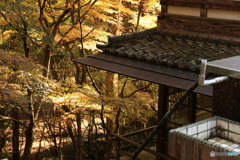 紅葉と家