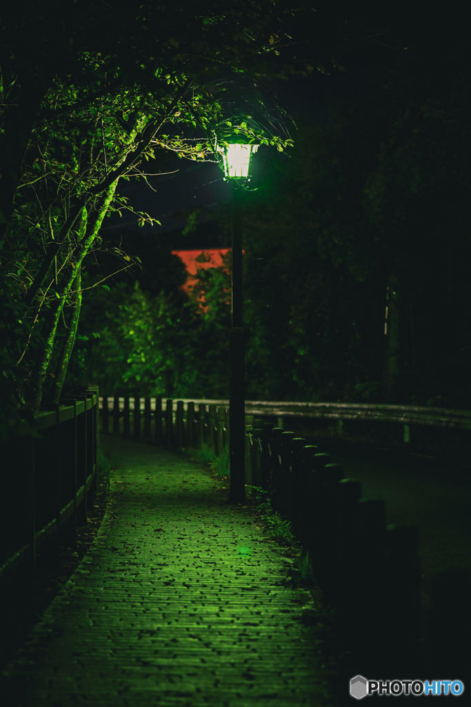 緑の灯り