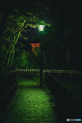 緑の灯り