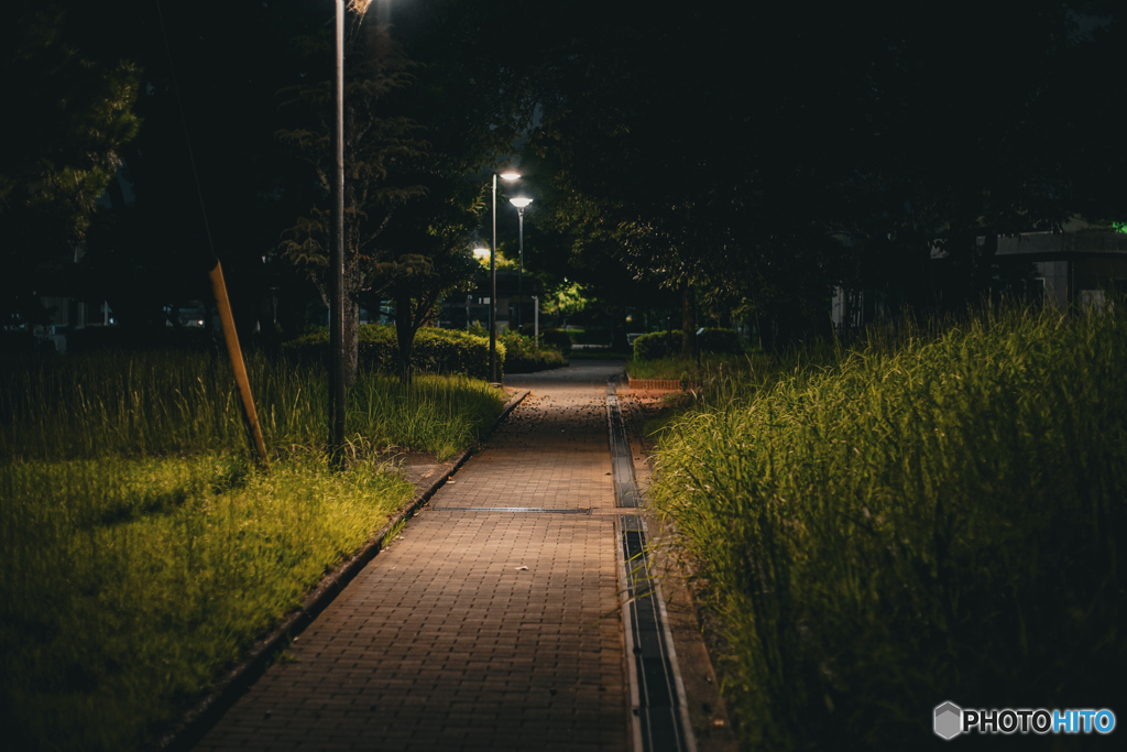 夜道